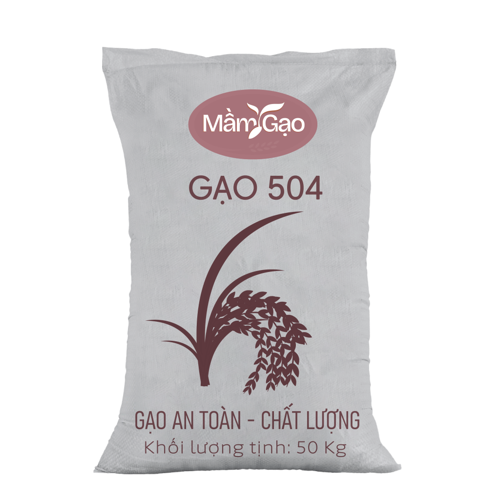 GẠO 504