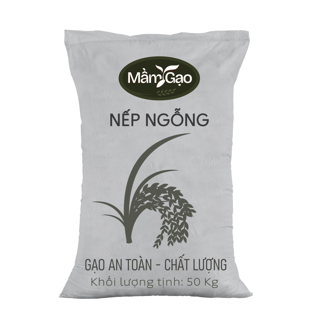 NẾP NGỖNG